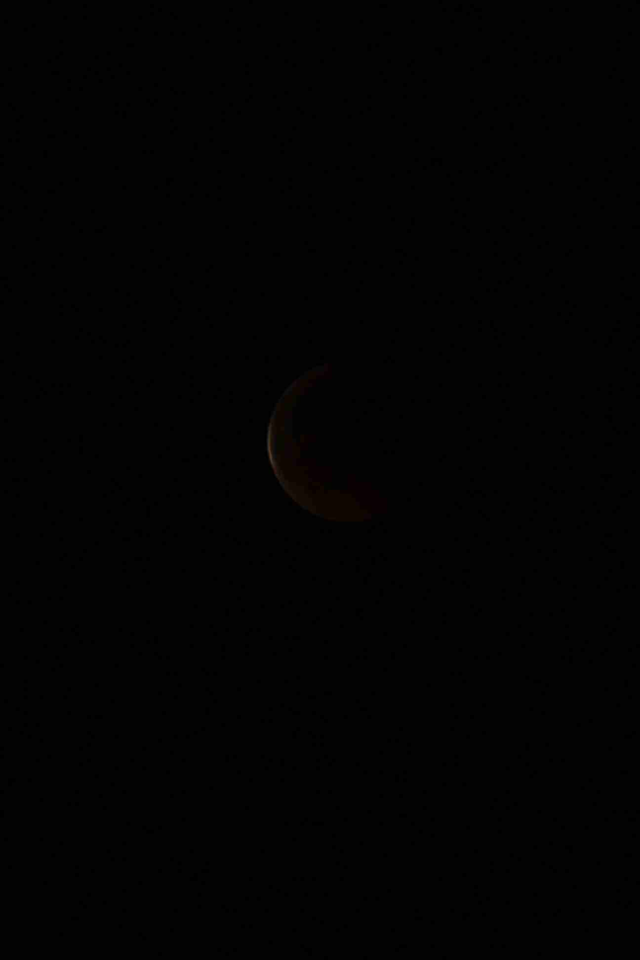 Enlarge IMG_2451.JPG