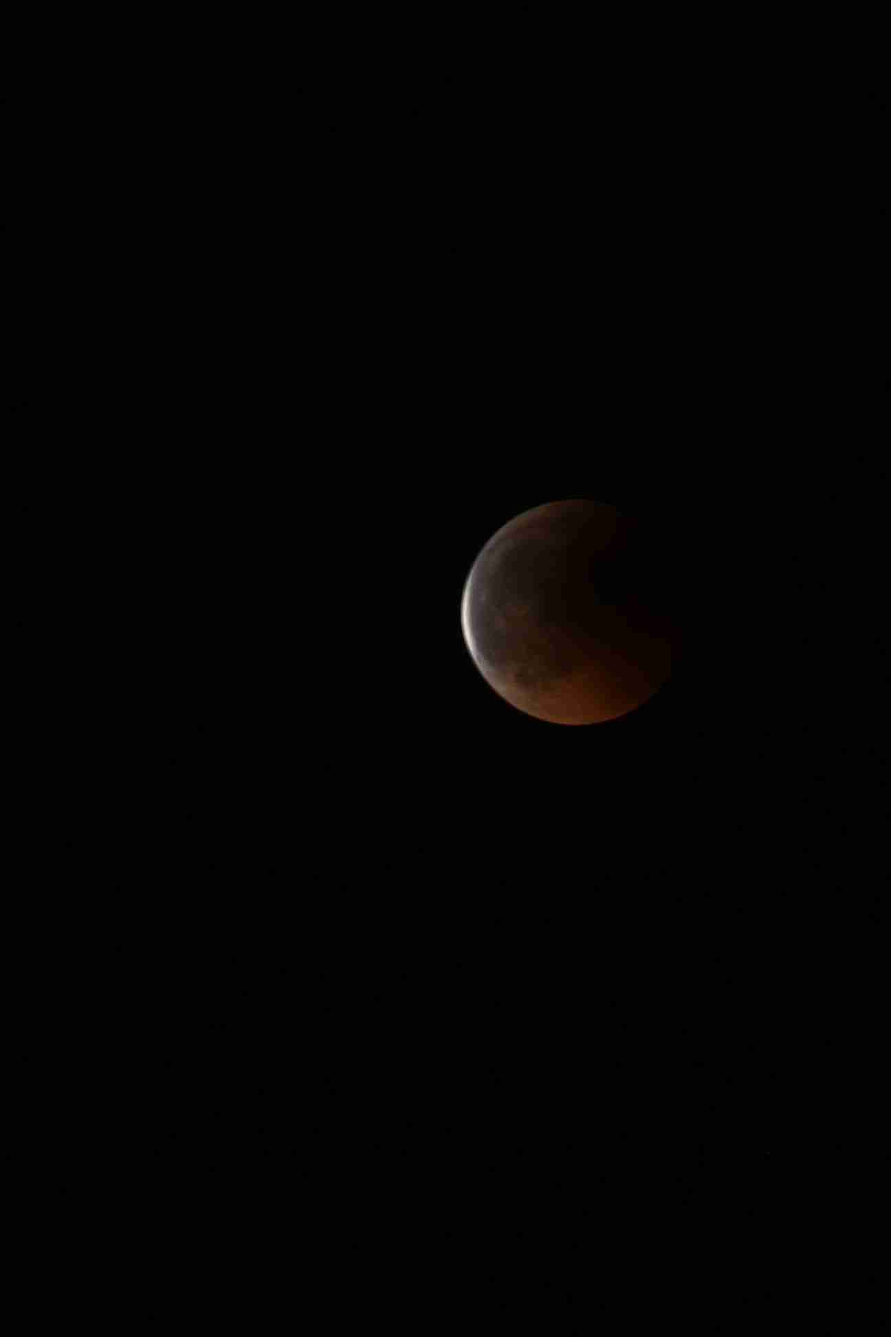 Enlarge IMG_2456.JPG