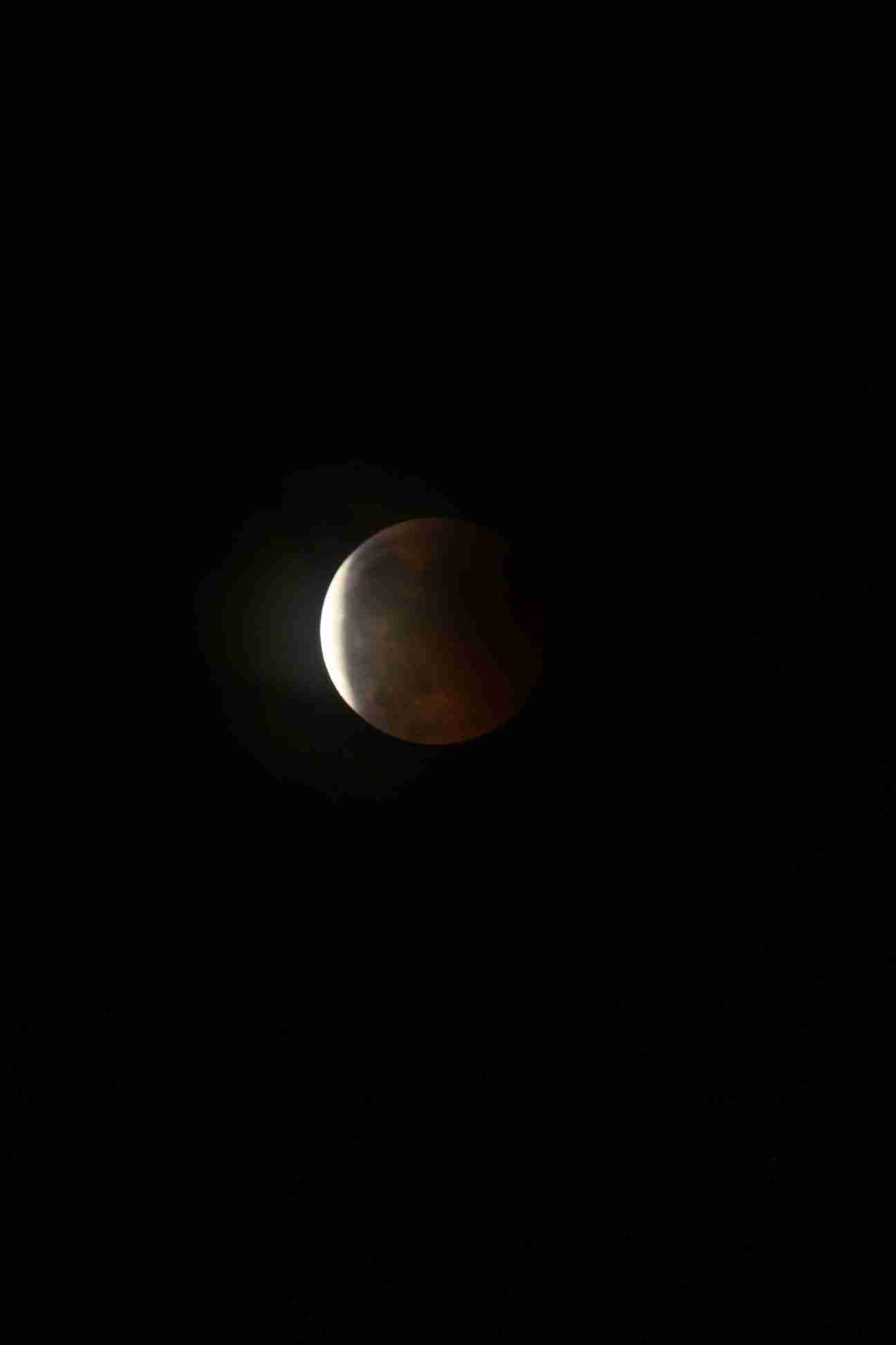 Enlarge IMG_2465.JPG