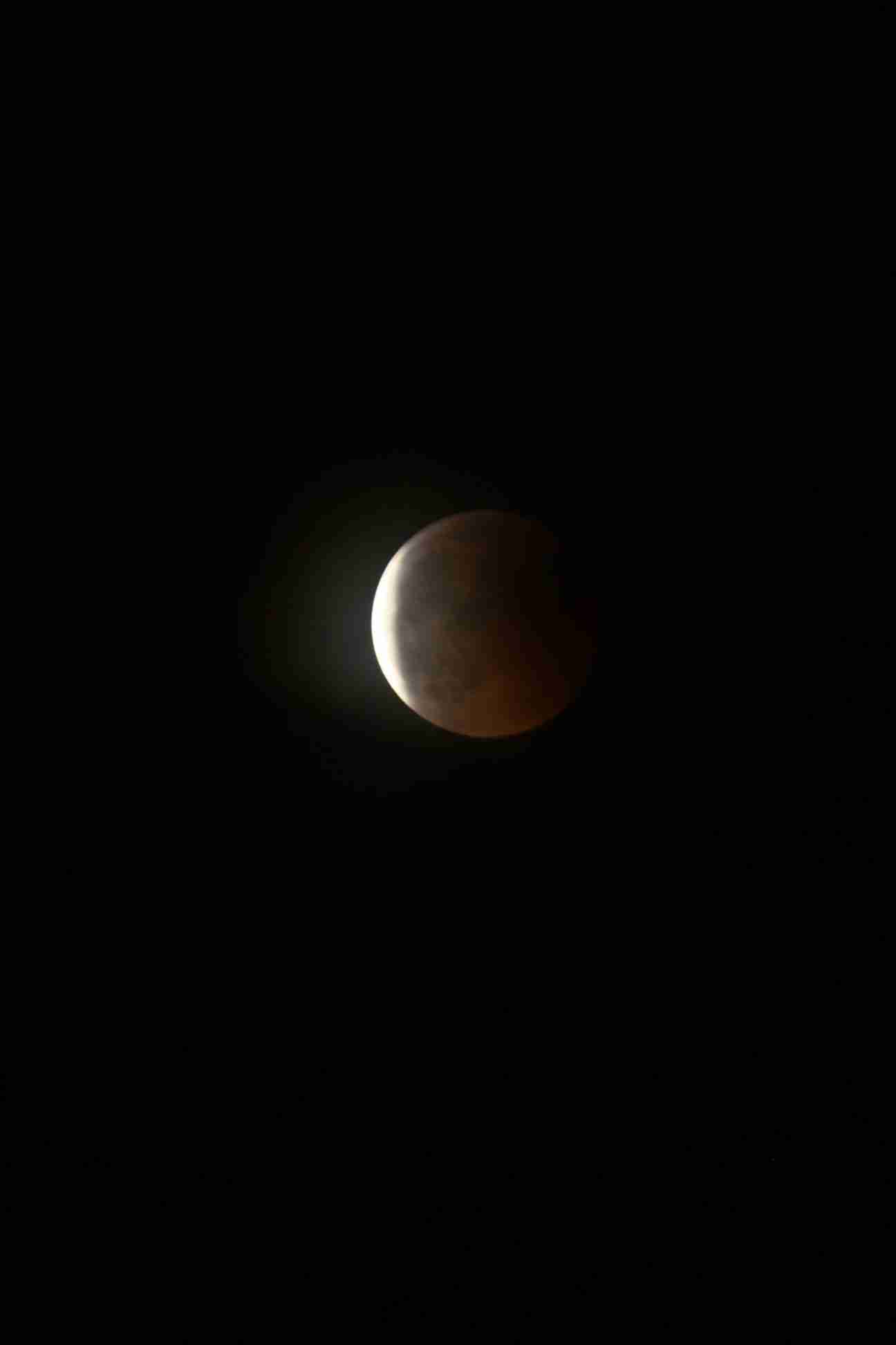 Enlarge IMG_2466.JPG