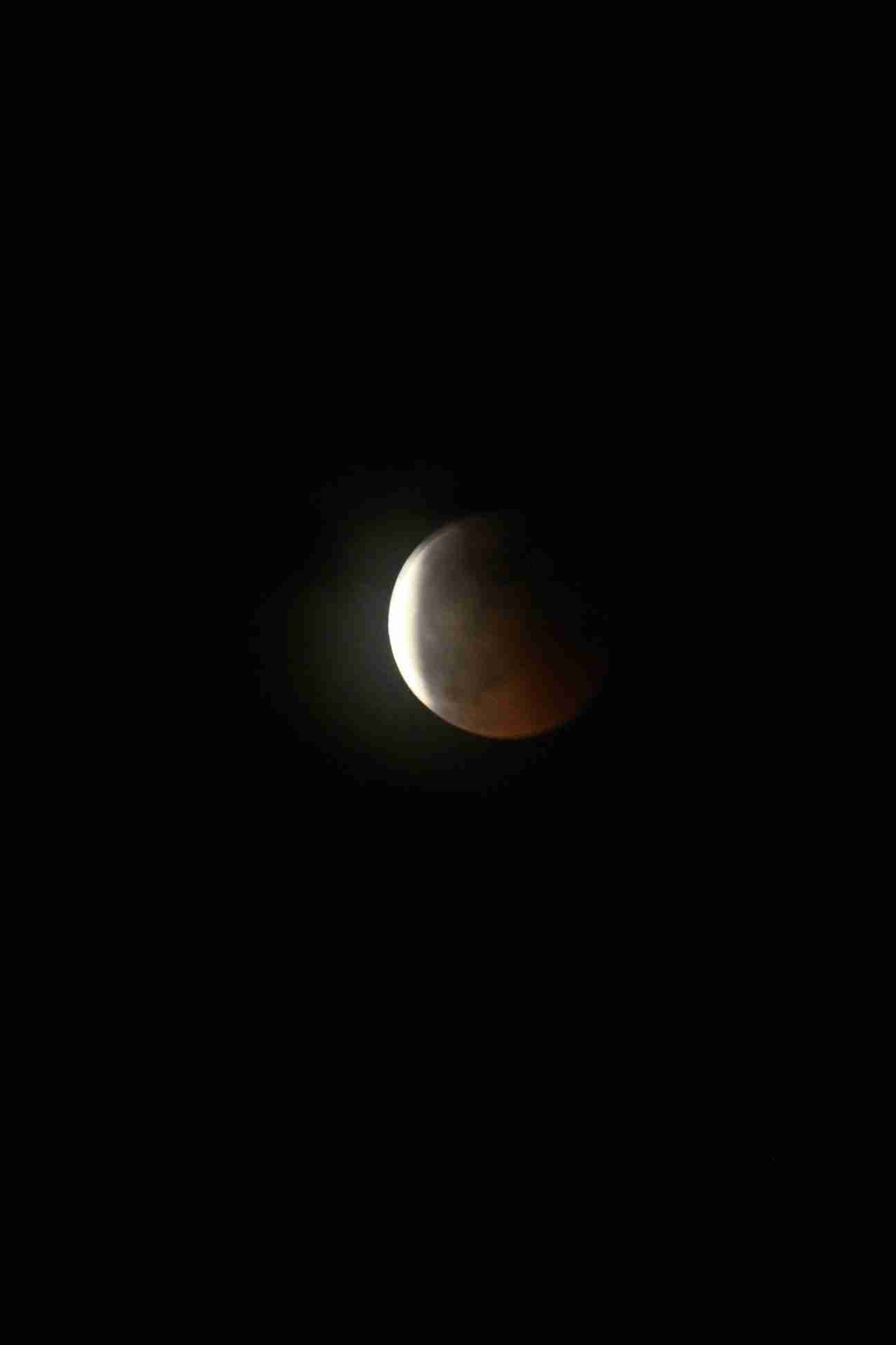 Enlarge IMG_2467.JPG