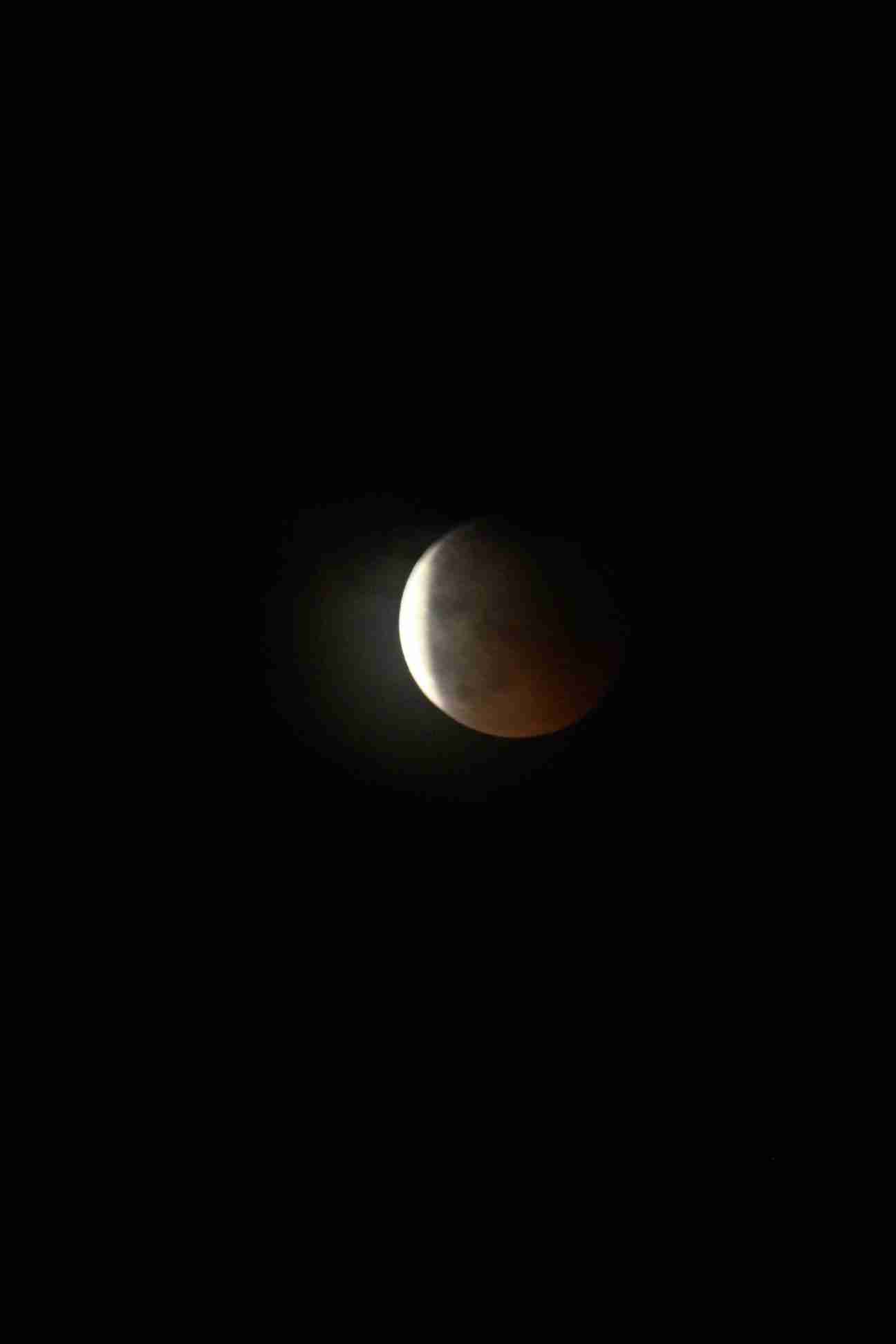 Enlarge IMG_2468.JPG