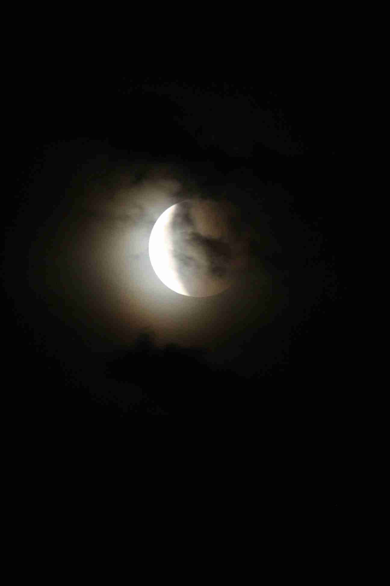 Enlarge IMG_2471.JPG