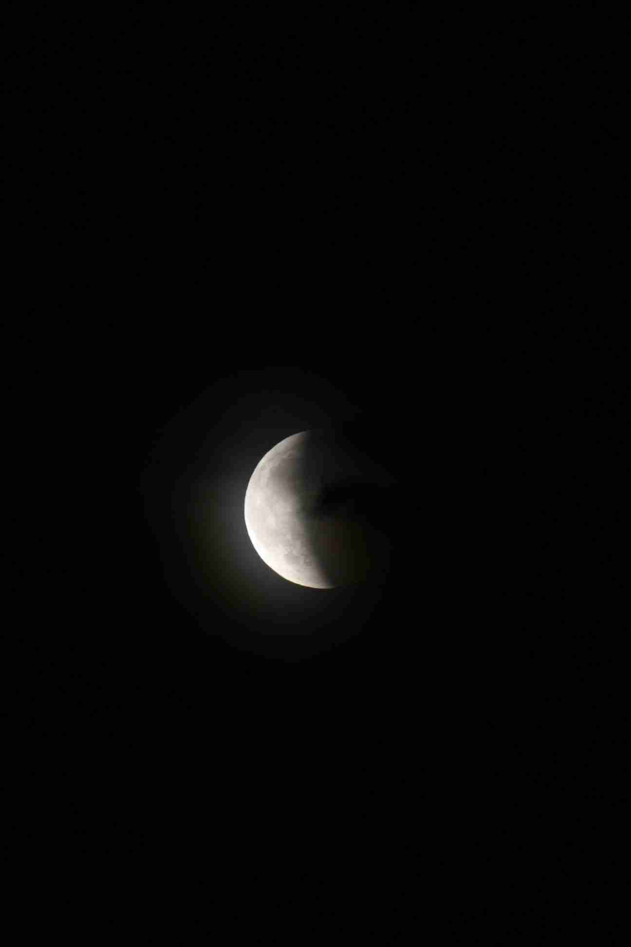 Enlarge IMG_2478.JPG