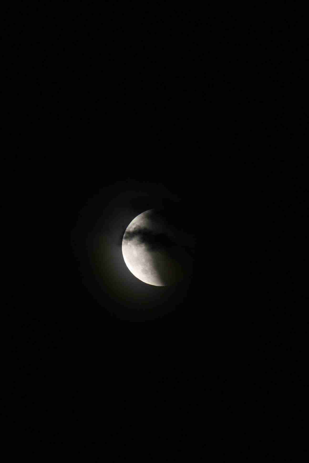 Enlarge IMG_2479.JPG