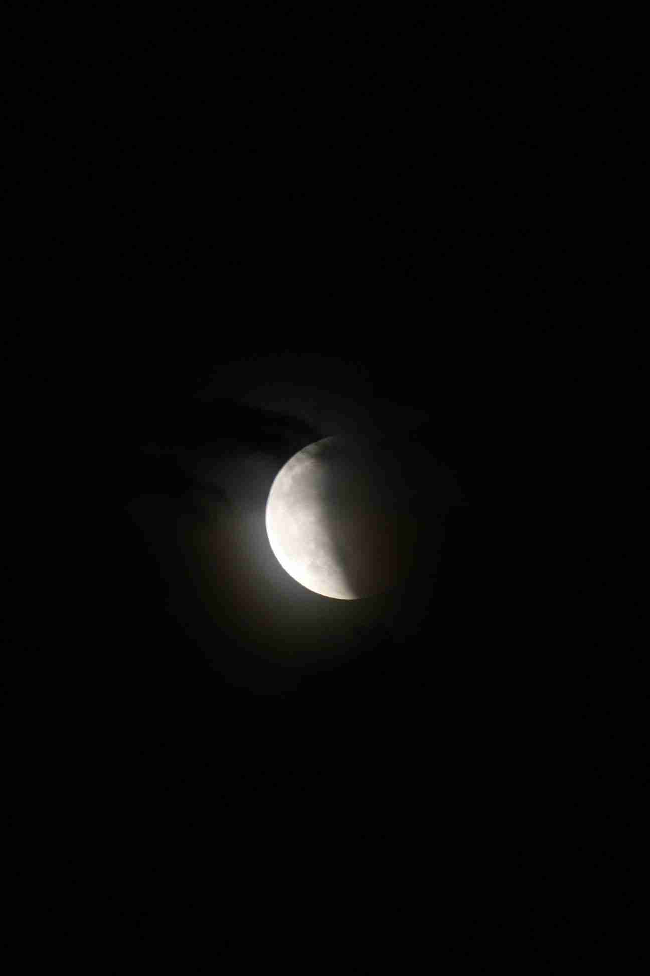 Enlarge IMG_2481.JPG