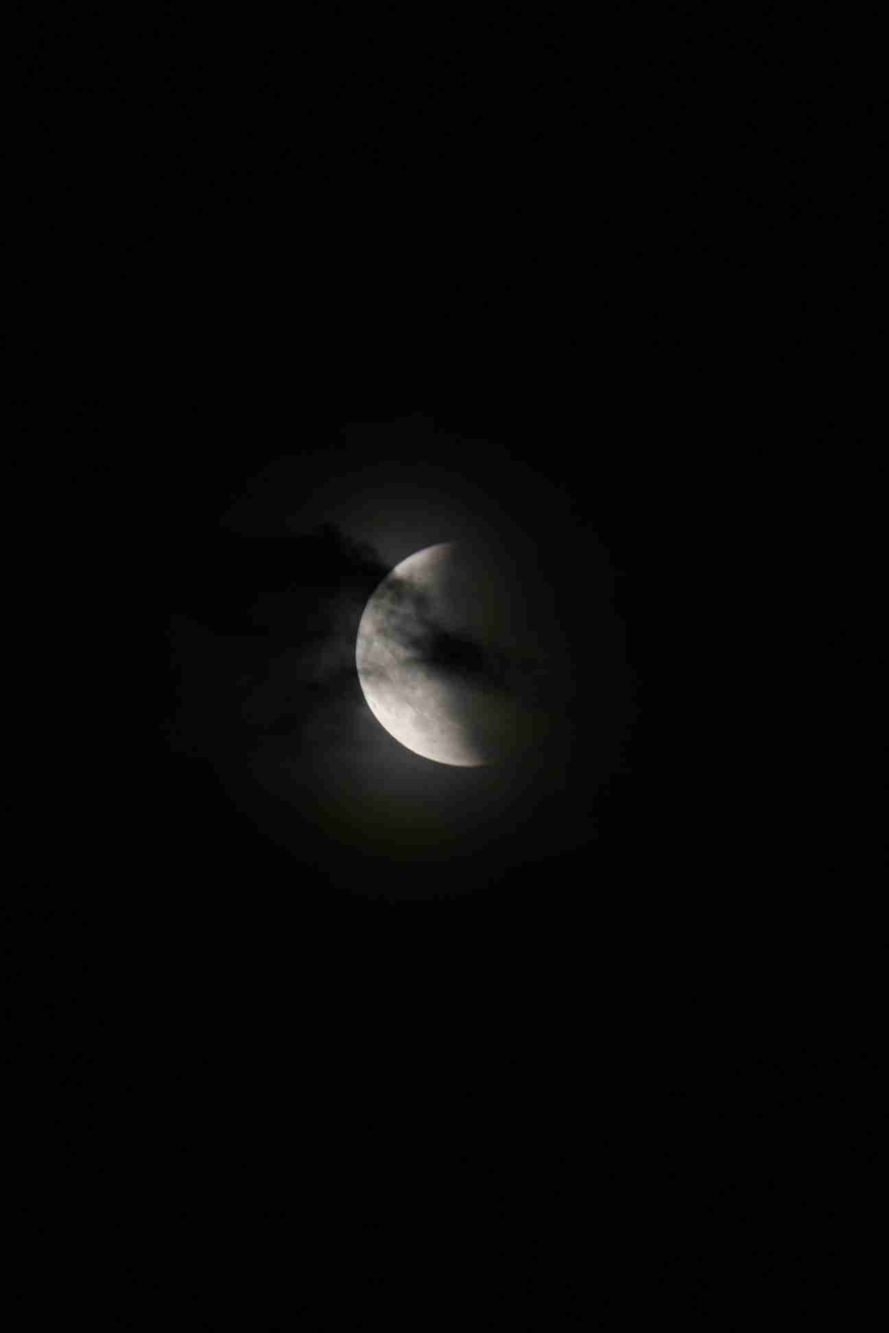 Enlarge IMG_2483.JPG