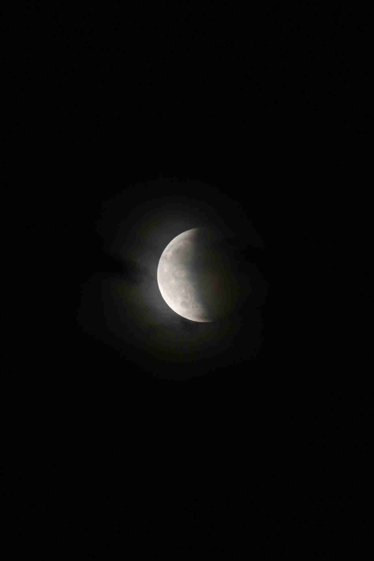Enlarge IMG_2484.JPG